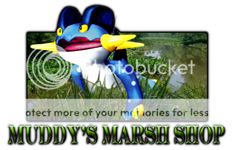 MuddyMarshBannerfinal3.png
