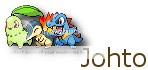 Johto-banner.png