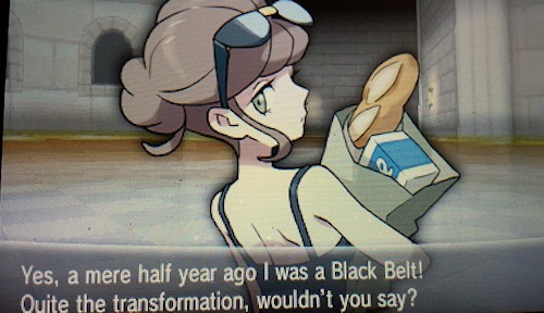 pokemon-karate-king-e.jpg