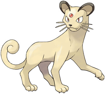persian.jpg