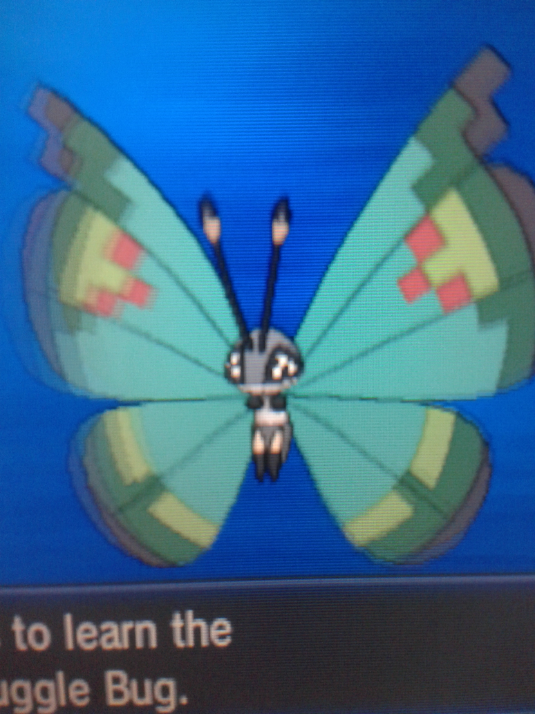 vivillon_garden_pattern_by_krocf4-d6ppgyt.png