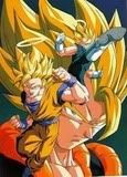 Gogeta.jpg