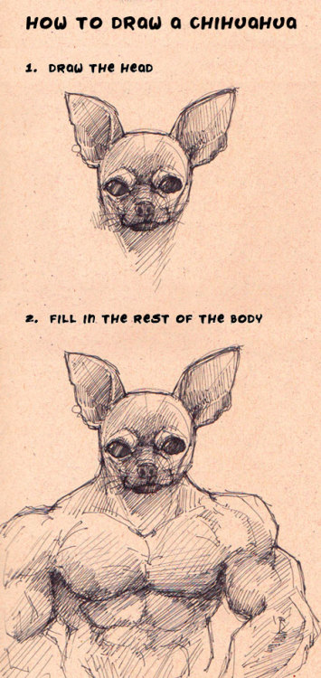 tumblr_m366921VMH1qc0cxpo1_500.jpg