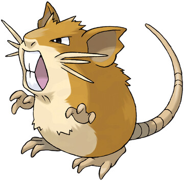 raticate.jpg