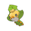 Sewaddle Sewaddle