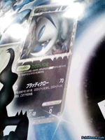 Lost Link: Lucario (poster artwork, not a card) and Absol (Prime)