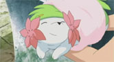 Giratina and the Bouquet from the Icy Sky, Shaymin