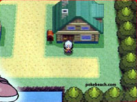 Pokemon Diamond and Pearl Girl Walking