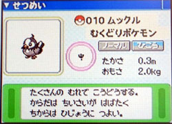 Mukkuru